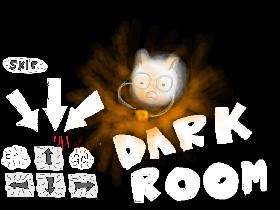 Dark Room!