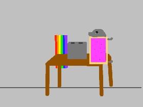 RAINBOWS