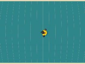 Bird Mayhem 1