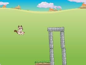 Grumpy Cat 30