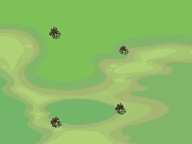 Turtle Trails 1