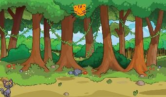 Hide and Seek With Tigey