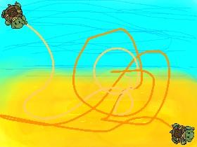 Turtle Trails 1