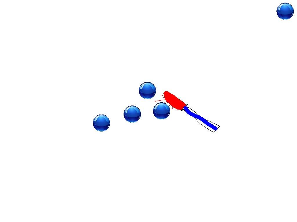 Spin Draw