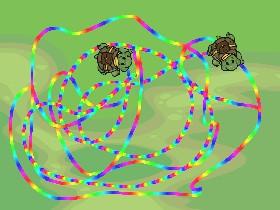Turtle Trails 1