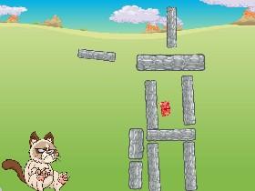 Grumpy Cat 1