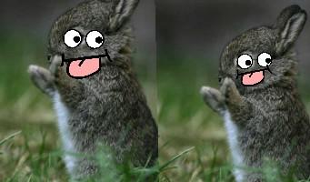 wacky wabbit