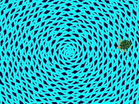 watch the flower bloom