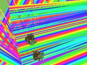 Turtle Trails 1