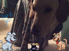 Dog song
