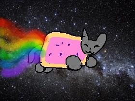 nyan cat