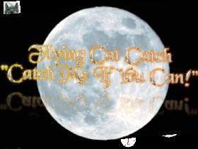 Flying Cat Catch BETA