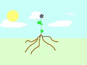 jumping Flower