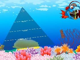 Ecological Pyramid 1