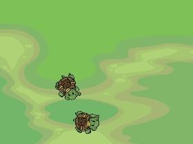 Turtle rainbows