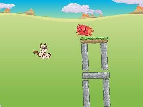 Grumpy Cat 1