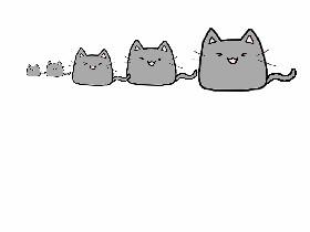 Learn To Draw 1