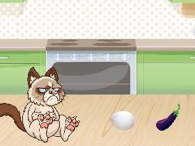 grumpy cat