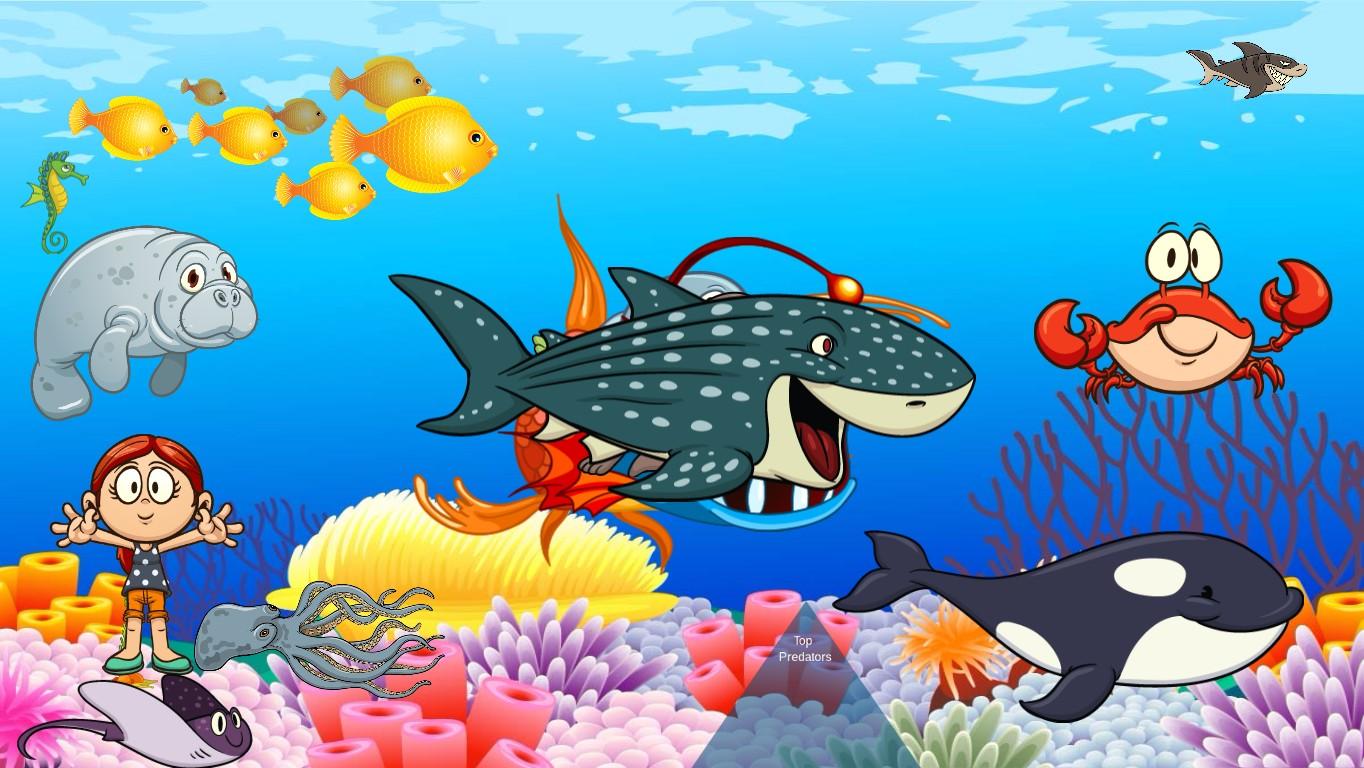 Ocean Ecological Pyramid