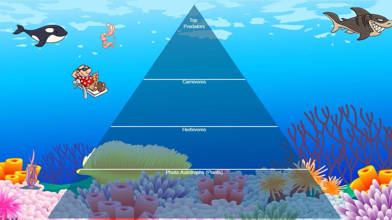 Ocean Ecological Pyramid