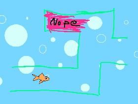 Maze