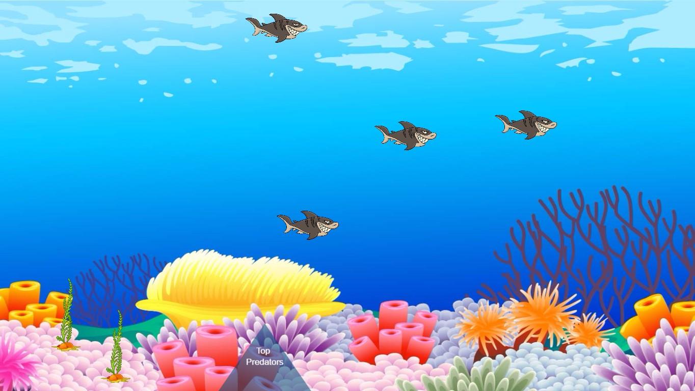 Ocean Ecological Pyramid