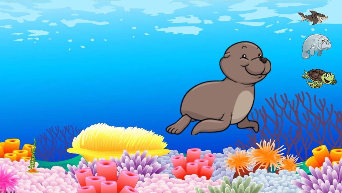 Ocean Ecological Pyramid