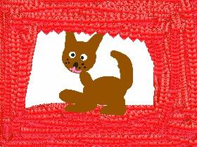 plz like if u luv chiwawas!!!!