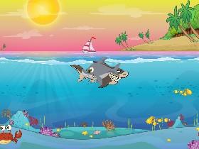 Ocean Life 😘😘😘