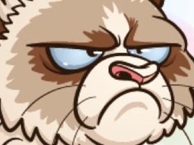 Grumpy Cat Face