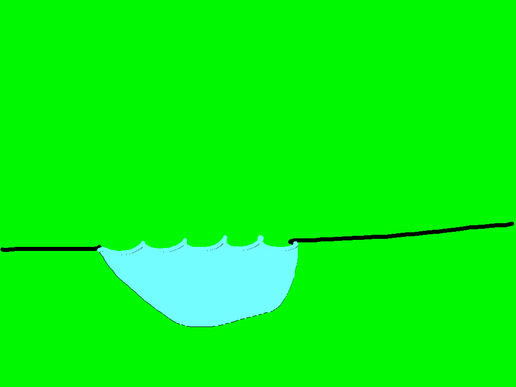 flip duck
