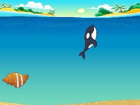 swim whale