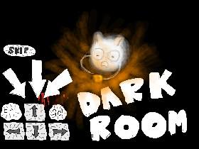 Dark Room that abby made