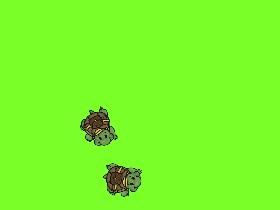 Turtle Trails 1