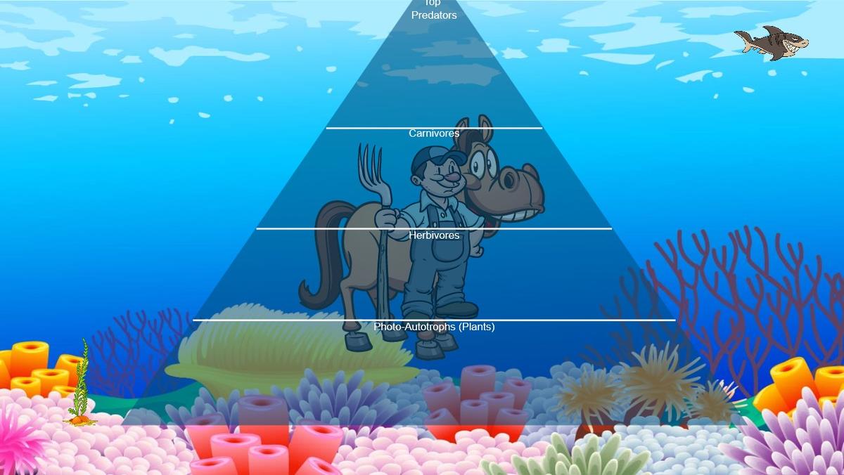 Ocean Ecological Pyramid