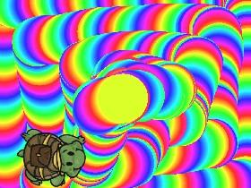 Turtle Trails 1