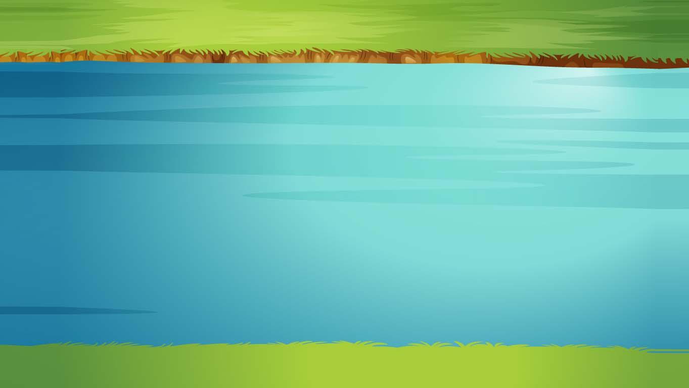 River Battle
