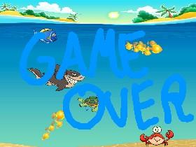 save the shark