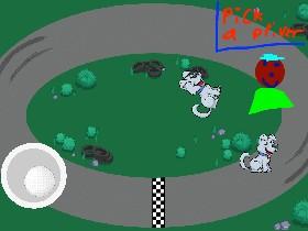 cat racing