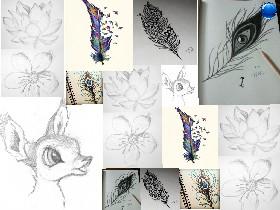 The Most Beautiful Sketches