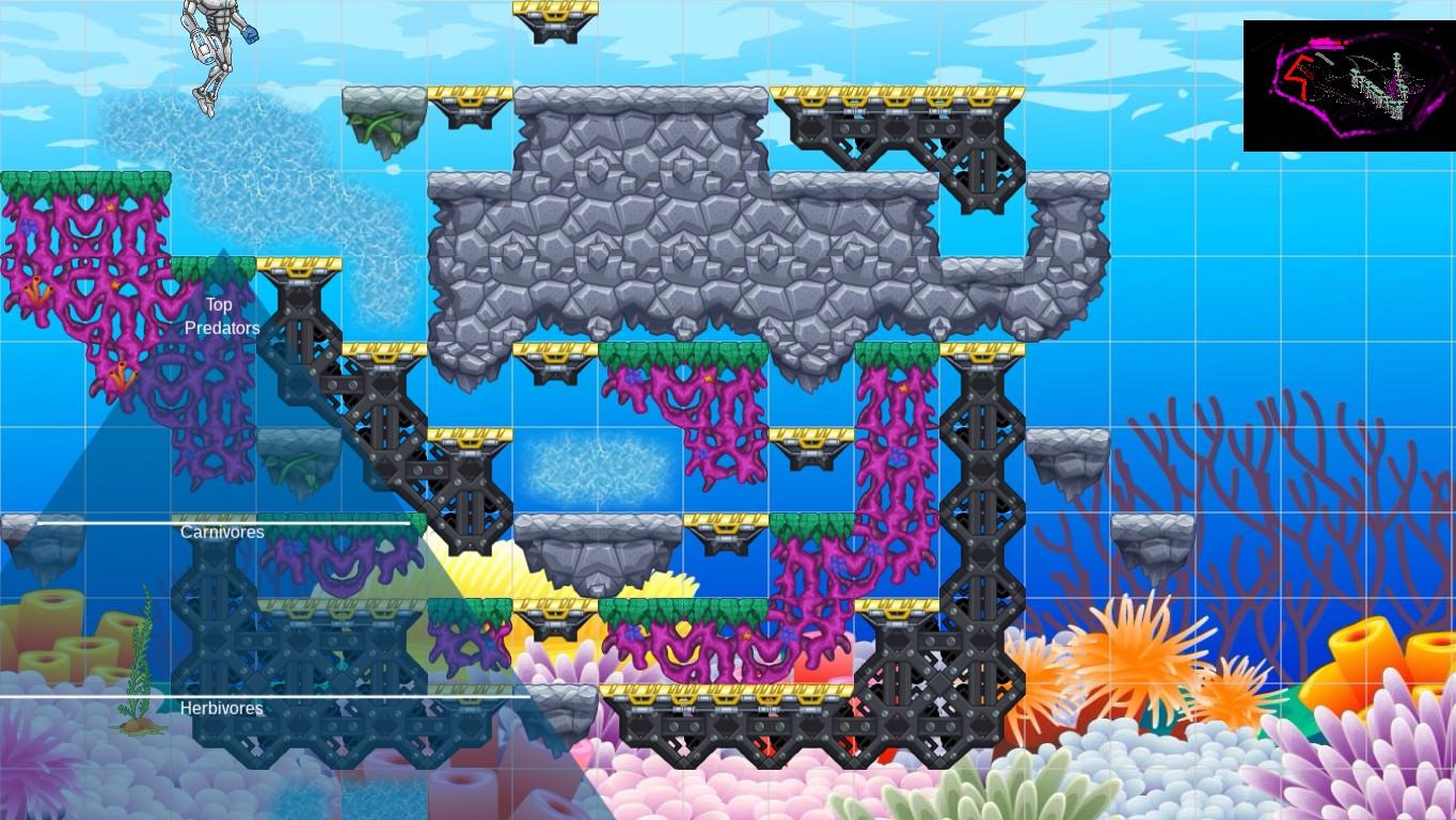 Ocean Ecological Pyramid