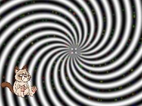 optical meow