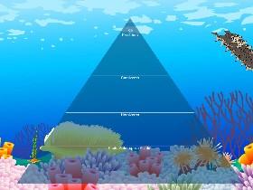 Ecological Pyramid 1