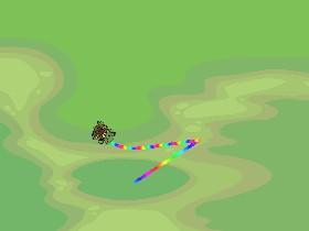 Turtle Trails 1