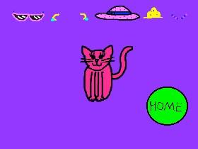 Strawberry The Cat 1