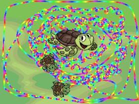 Turtle Trails 1