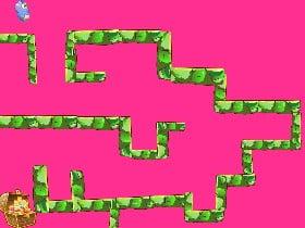 Maze with Cody