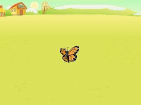 Beautiful Butterfly
