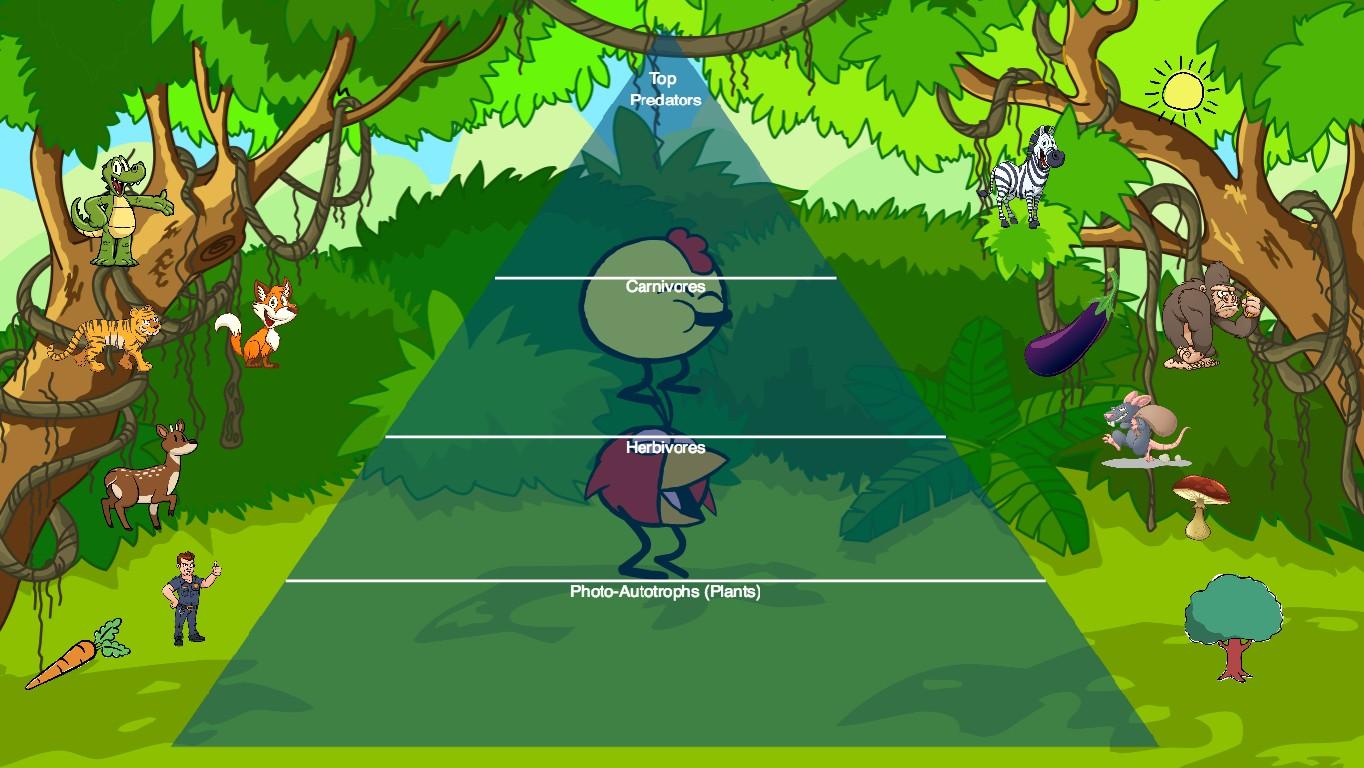 Ocean Ecological Pyramid