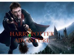 HARRY POTTER ADVENTURE